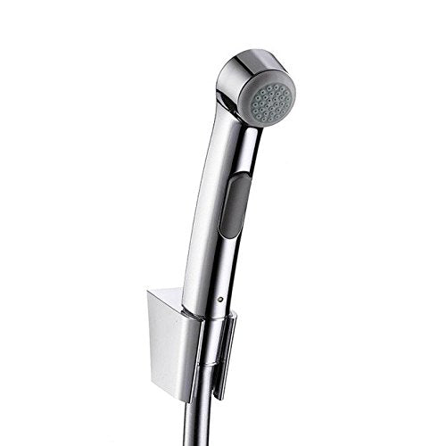 Hansgrohe Hand Shower health faucet