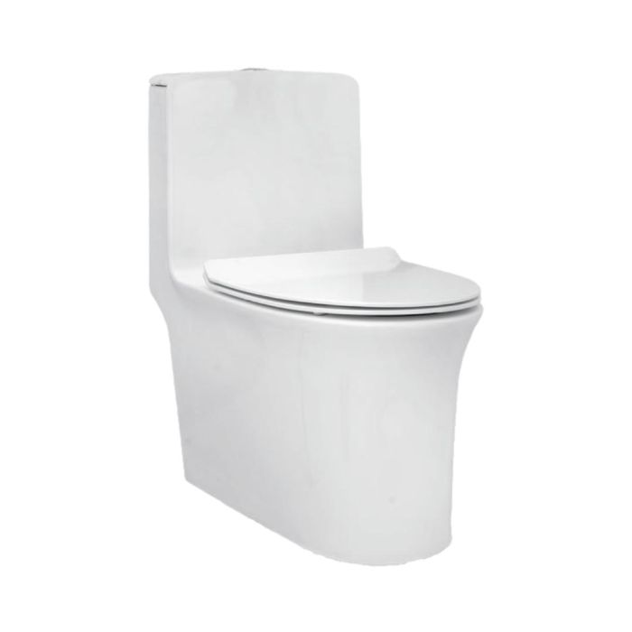 Parryware Floor Mounted White WC Aquiline C8919