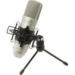 Load image into Gallery viewer, Tascam TM-80 Large Diaphragm Cardioid Condenser Microphone
