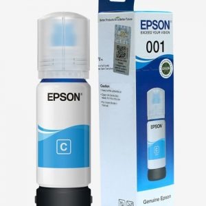 Epson C13T06G198  Ink Bottles