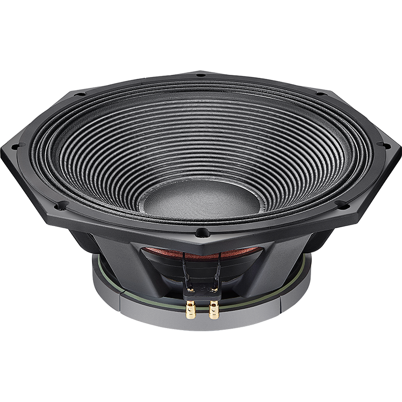 Ahuja professional deals speaker