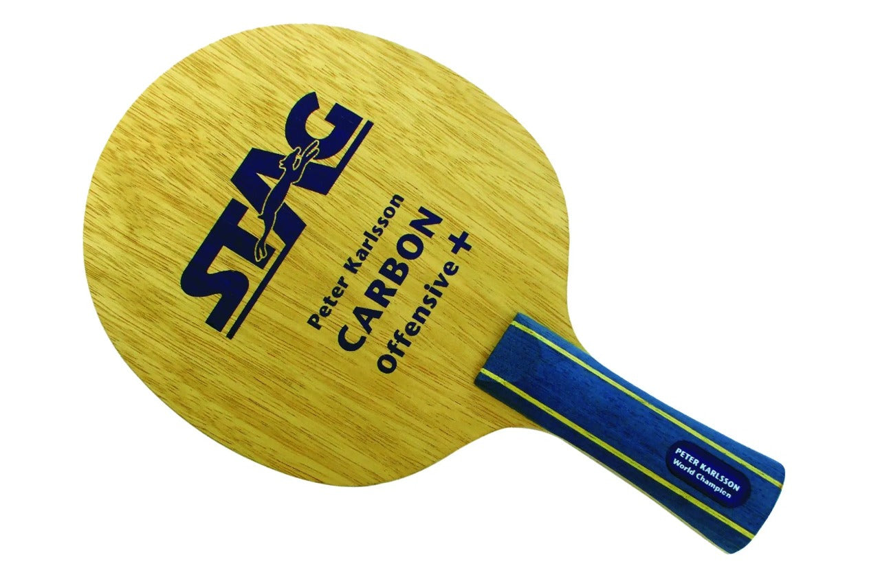 STAG Champ Series Professional Table Tennis (T.T) Set