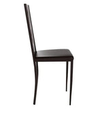 Load image into Gallery viewer, Detec™ Dining Chair (Set of 2) Metal Material For Dining Room
