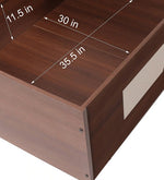 Load image into Gallery viewer, Detec™ Single Day Bed in Brown Colour
