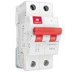 Load image into Gallery viewer, Havells Isolator dp 40 A to 125 A Isolator Switching Device

