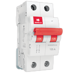 Load image into Gallery viewer, Havells Isolator dp 40 A to 125 A Isolator Switching Device

