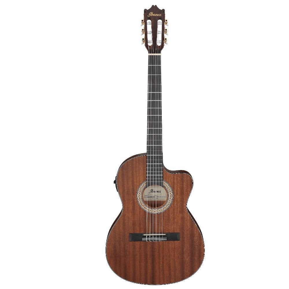 Ibanez UKC10 Concert Ukulele with Gig Bag