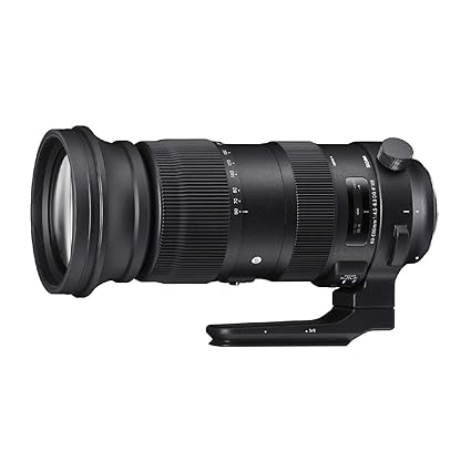 Used Sigma 60-600mm f/4.5-6.3 DG OS HSM Lens Sports for Nikon DSLR Cameras