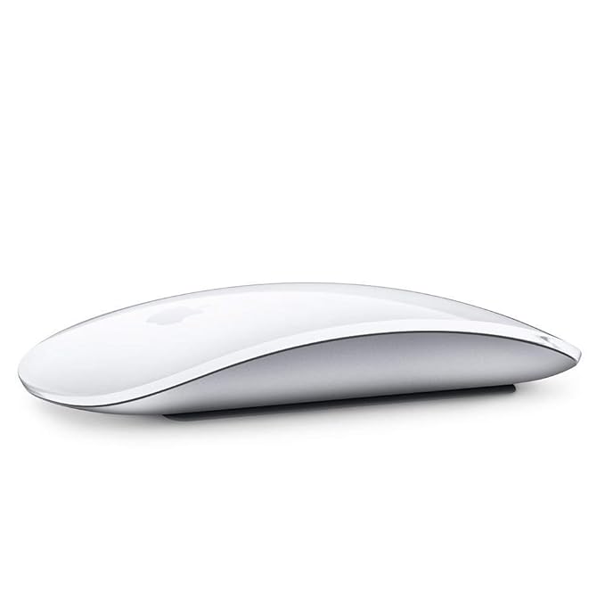 Open Box, Unused Apple Magic Mouse 2 Wireless Rechargable Silver