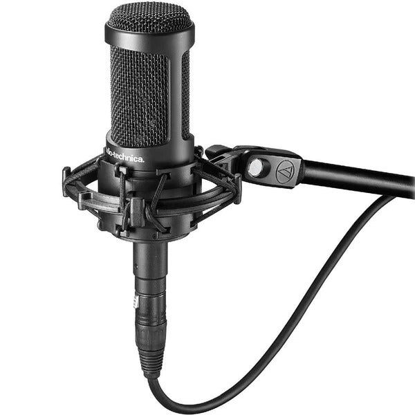 Audio-Technica AT2050 Multi-Pattern L Diaphragm Condenser Microphone