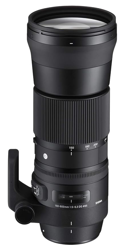 Used Sigma 150-600 Mm F/5-6.3 Dg Os HSM Contemporary Lens for Canon Cameras