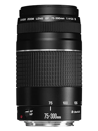 Used Canon EF 75-300 mm f/4-5.6 III Telephoto Zoom Lens for Canon SLR Cameras Black