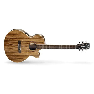 Cort SFX-DAO Electric Acoustic Guitar