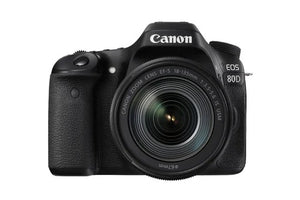 Used Canon EOS Series EOS 80D DSLR Camera Body with Single Lens: EF-S 18-135 IS USM