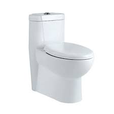 Jaquar Single Piece Wc SLS-WHT-6851S110PP