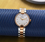 Load image into Gallery viewer, Pre Owned Rado Coupole Classic Women Watch R22859923-G20A

