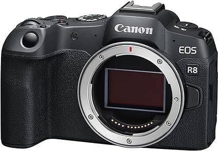 Open Box, Unused Canon EOS R8 Mirrorless Camera with RF 24-105mm f/4-7.1 is STM Lens