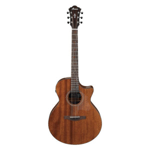 Ibanez AE295 AE Series Electro Acoustic Guitar