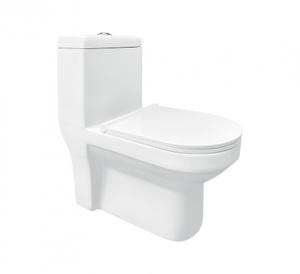 Hindware Evita S-220 One Piece Water Closet 20121