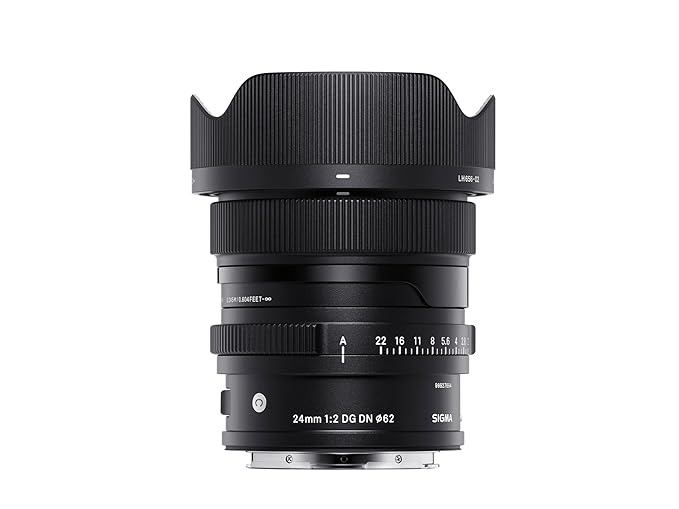 Used Sigma 24mm F2 DG DN for Leica L-Mount