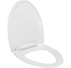 American Standard Wall Mounted White Closet WC Winston + Seat Cover CCAS3130-3W20410A0