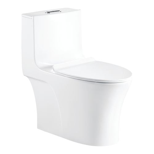 Somany Swiss One Piece Toilet