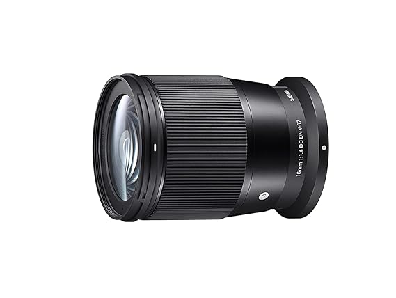 Sony E के लिए सिग्मा 85mm F1.4 Dg Dn आर्ट लेंस