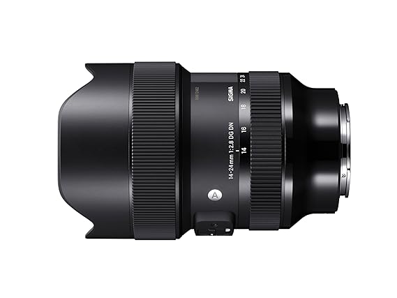 Sigma 14-24mm f/2.8 DG DN Art Lens for Sony E Mount Mirror-Less Cameras Black