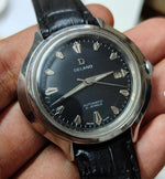 गैलरी व्यूवर में इमेज लोड करें, Vintage Delano Automatic 21 Jewels Watch Code 38.M1

