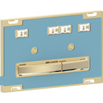 Load image into Gallery viewer, Geberit Sigma50 Square flush plate 115.672.00.2 brass customer specific
