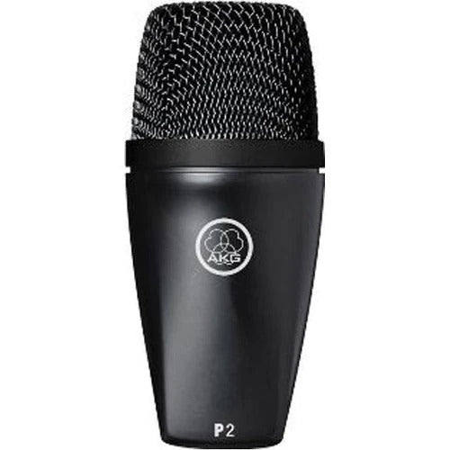 AKG P2 Dynamic Instrument Microphone