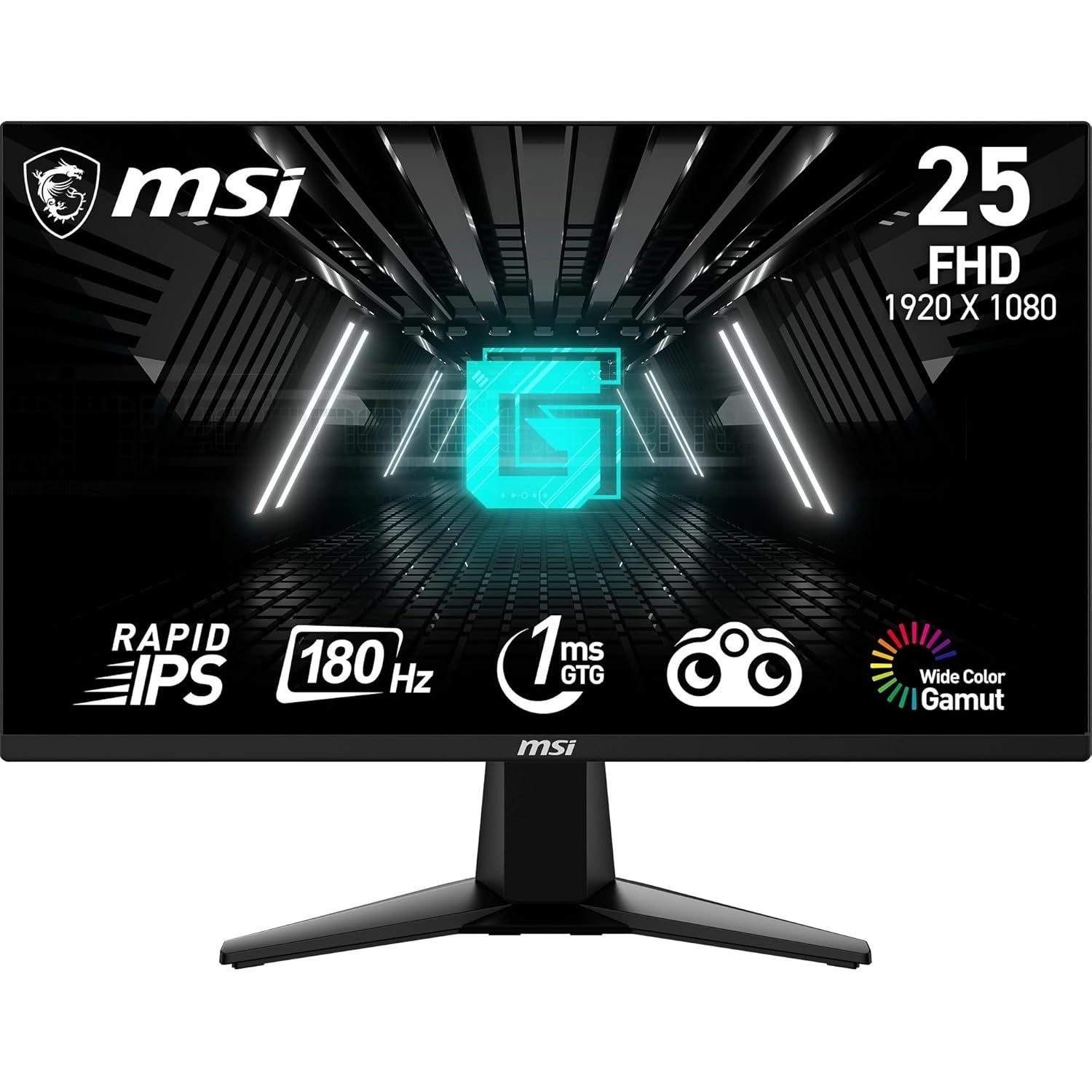 Open Box, Unused MSI G255F 24.5 Inch FHD Gaming Monitor