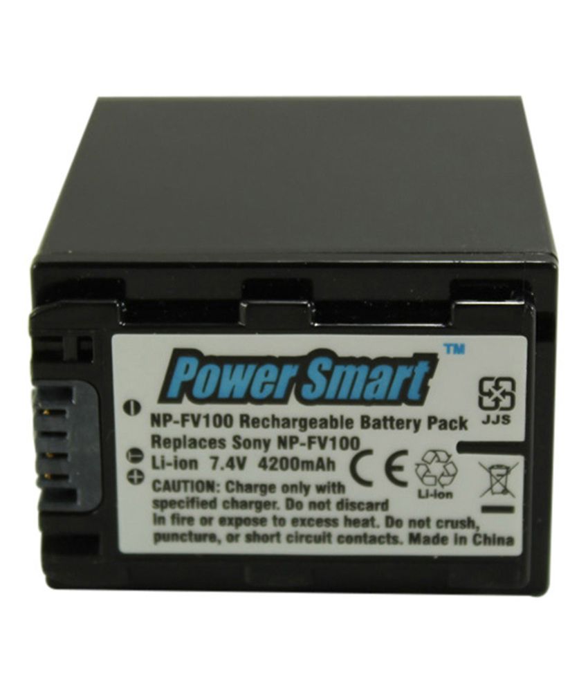 Power Smart NP-FV100