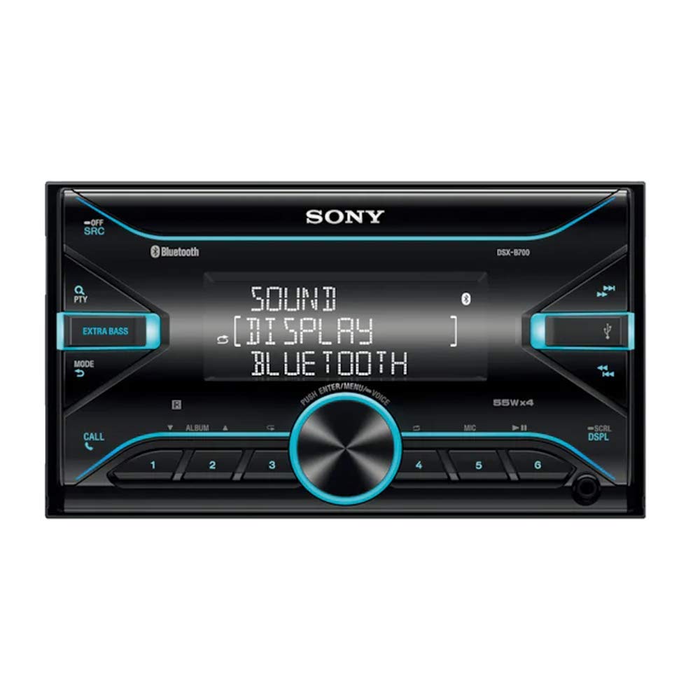 Sony DSX-B700 Media Receiver with Bluetooth Technology