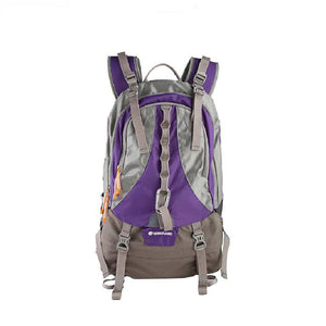 Vanguard Kinray 48 Backpack Gray Purple