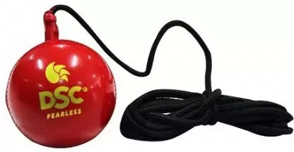 Open Box Unused Dsc Hanging Cricket Synthetic Ball Pack of 2