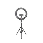 Load image into Gallery viewer, Digitek Drl 19 19 Inches Professional Led Ring Light
