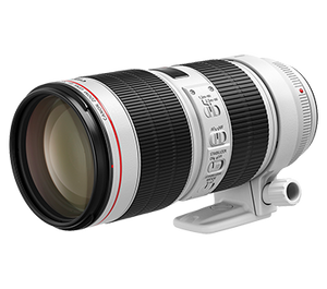 Canon EF70-200mm F/2.8L IS III USM