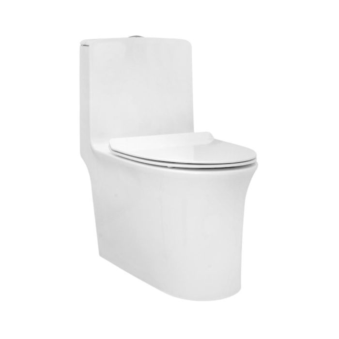Parryware Floor Mounted White Wc Aquiline C8901