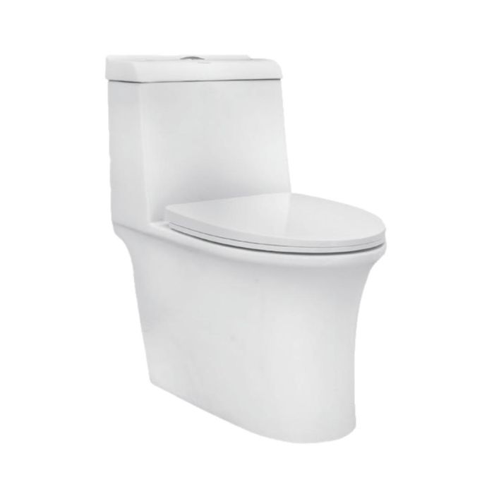 Parryware Floor Mounted White WC Reeve C8899