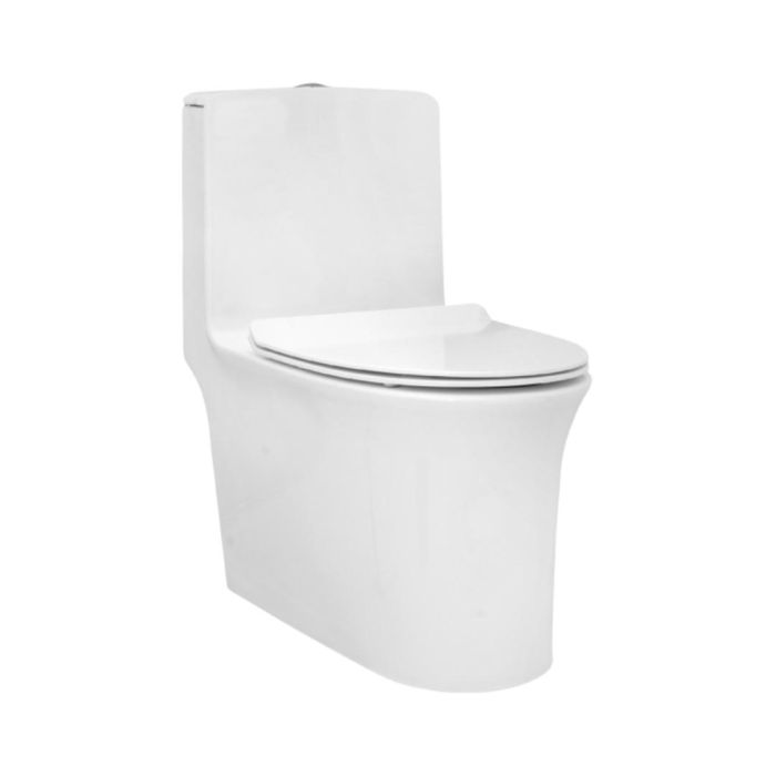 Parryware Floor Mounted White Wc Aquiline C8902
