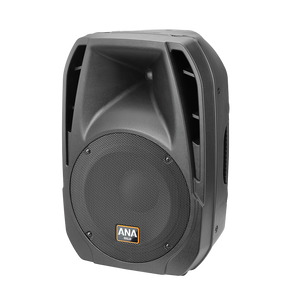 Ahuja VX-300 Moulded Cabinet Speaker System