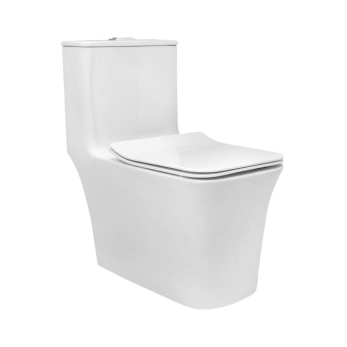 Parryware Floor Mounted White Wc Inslim C8935