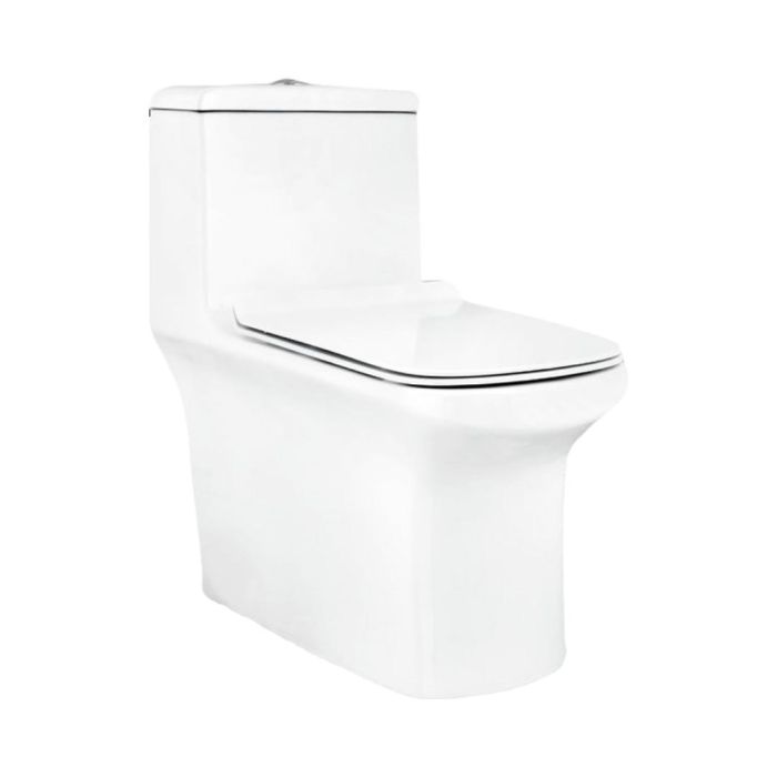 Parryware Floor Mounted White Wc Apollo C8939