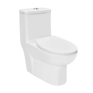 Jaquar Single Piece Wc SLS-WHT-6851S300PP