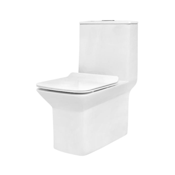 Parryware Floor Mounted White Wc Nuva C8903