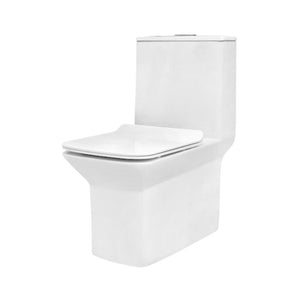 Parryware Floor Mounted White Wc Nuva C8903