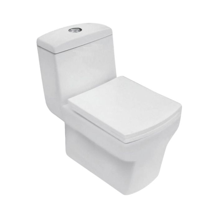 Parryware Floor Mounted White WC Camel C8857