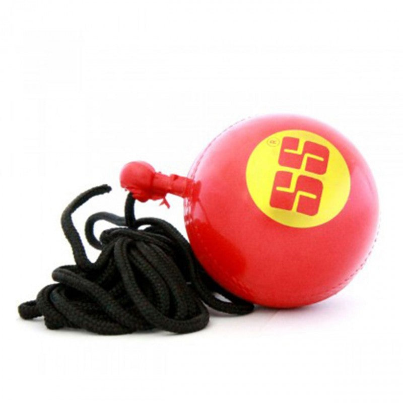 SS Ball Hanging Ball Pack of 15