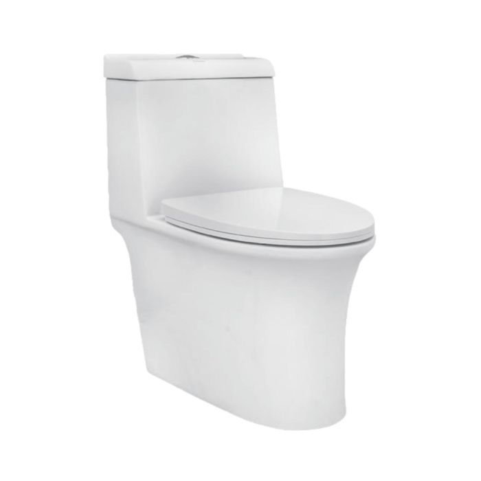 Parryware Floor Mounted White Wc Reeve C8900